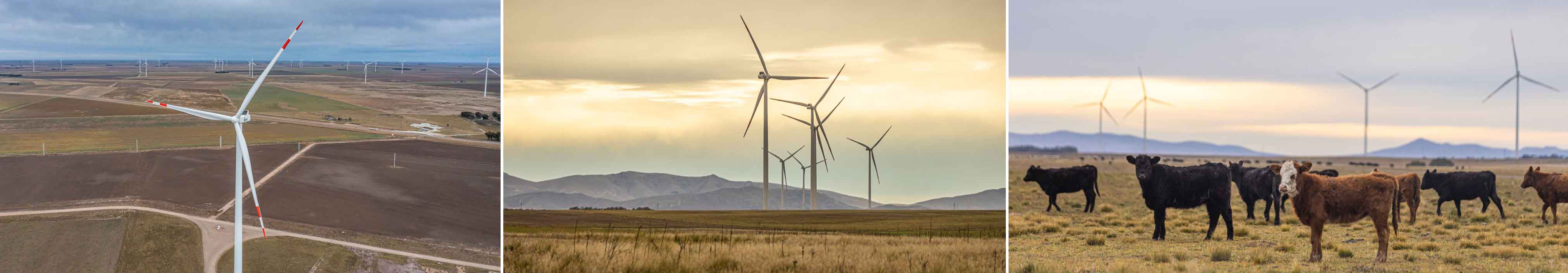 imagenes del campoy molinos de energía